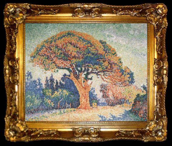 framed  Paul Signac Pine Tree at Saint-Tropez, ta009-2